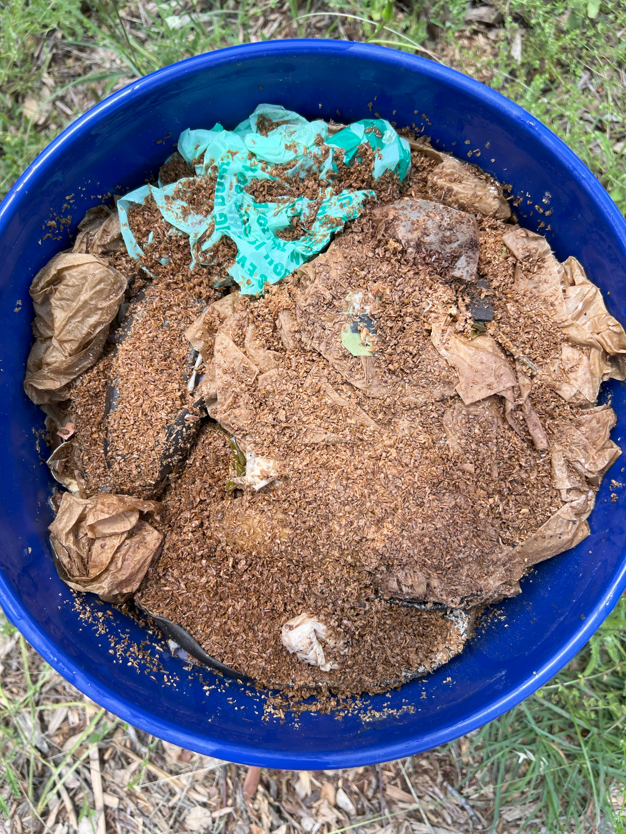 Bokashi-composting-no-mold