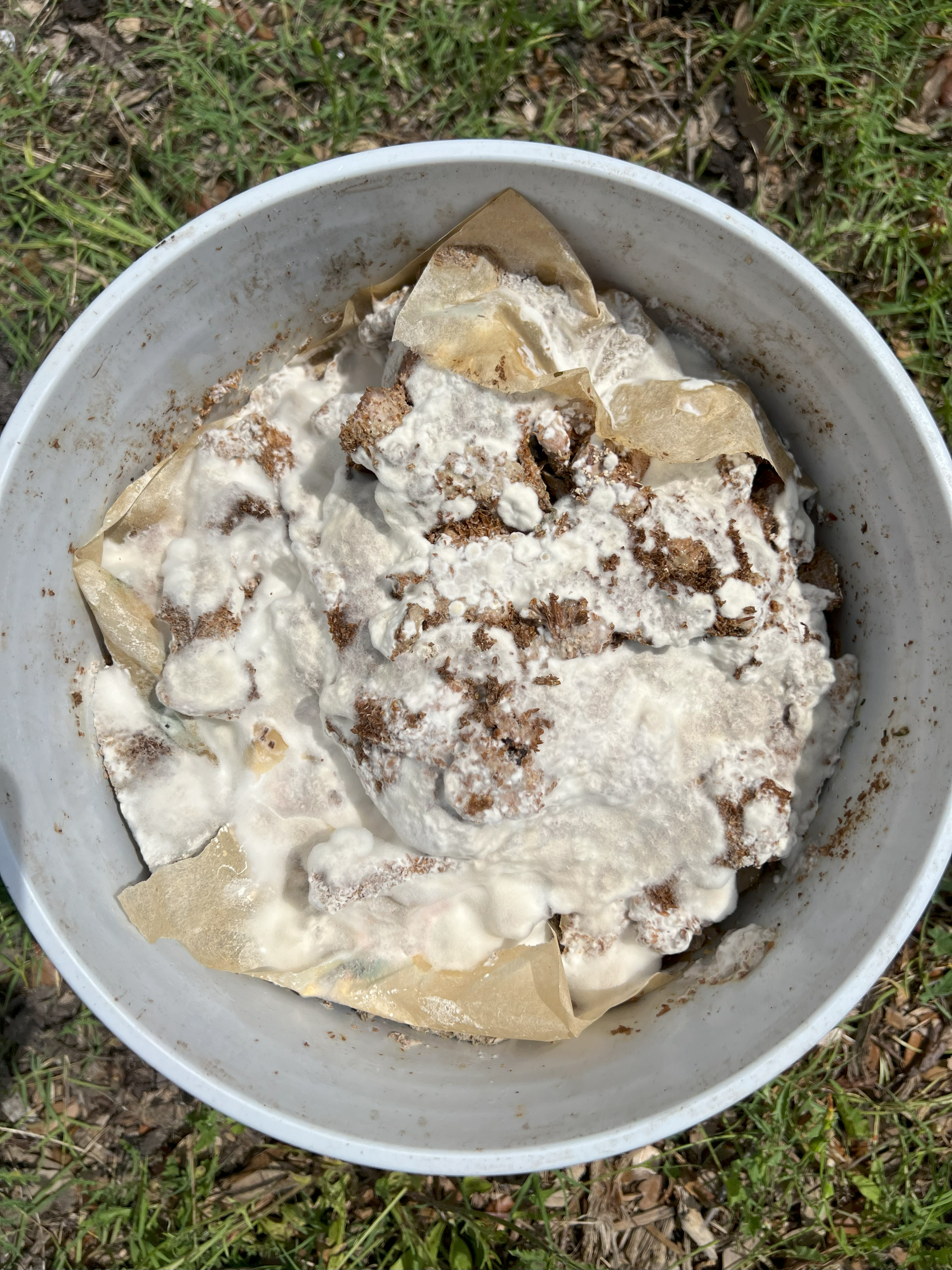 Bokashi-composting-white-fungus-branded