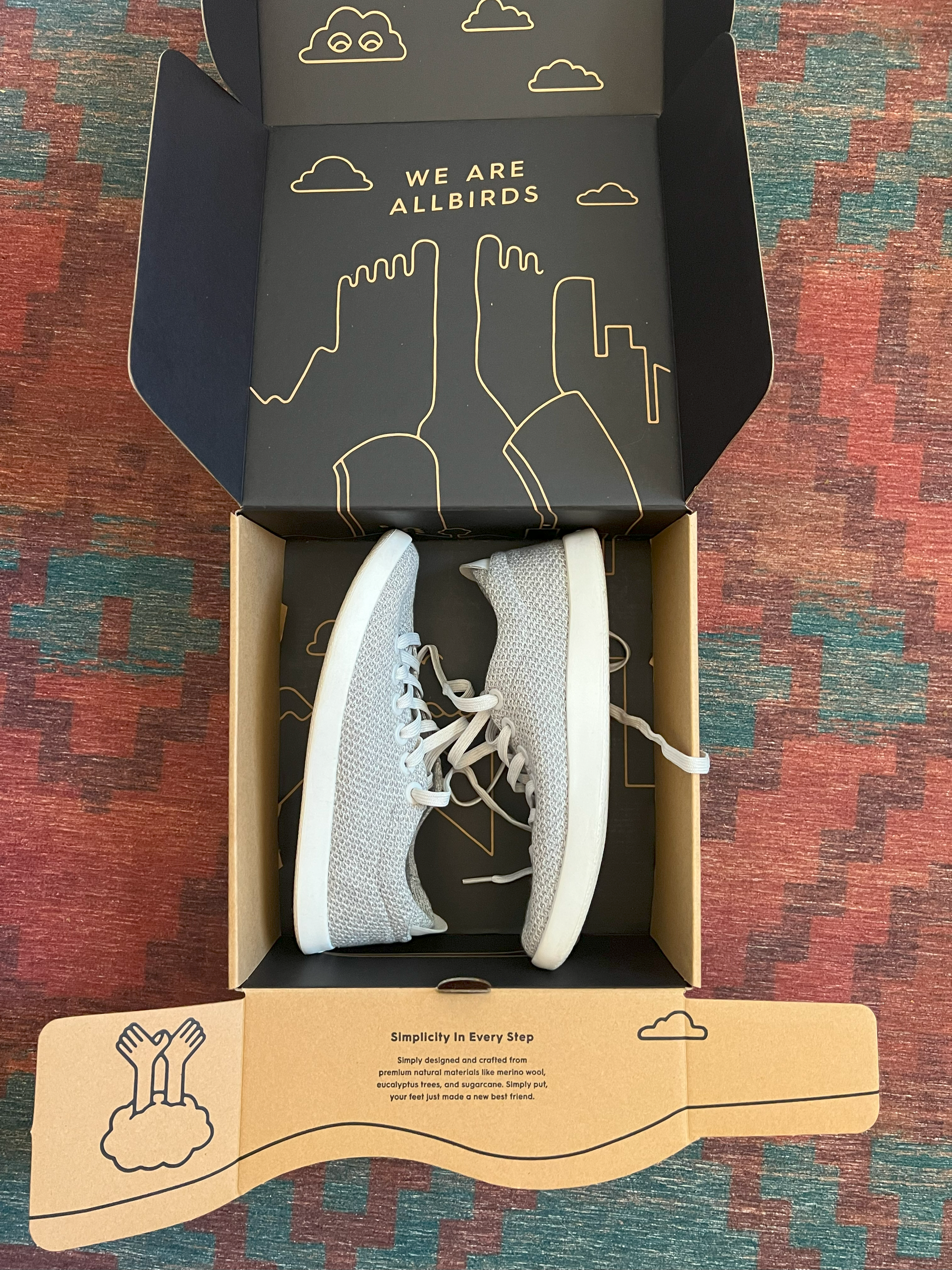 allbirds-tree-pipers-in-box