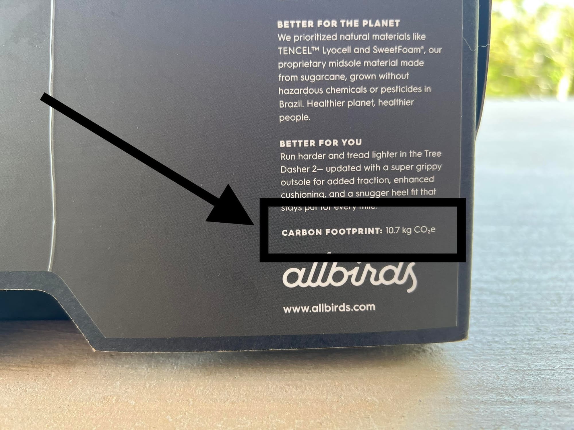 Allbirds tree dasher 2 carbon footprint